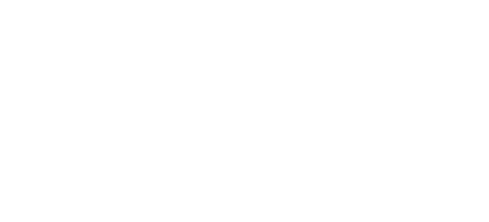 SHANJUUN logo
